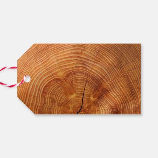 Baby shower - Sagittarius Cadeaulabel (Achterkant Horizontaal)