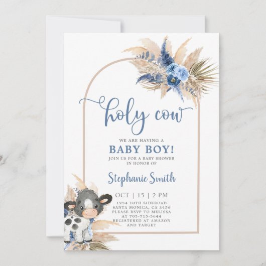 Baby shower Saint-Vache Invitation garçon (Devant)