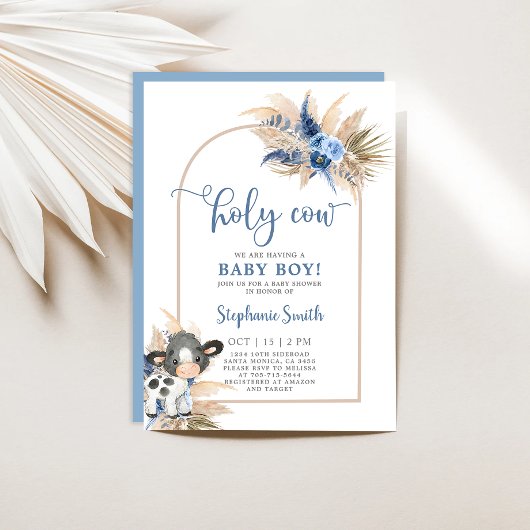 Baby shower Saint-Vache Invitation garçon