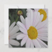 baby shower uitnodiging, madeliefjes bloemen kaart (Achterkant)