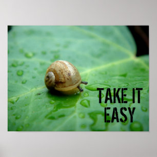 Baby slak poster