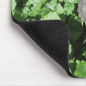 Baby-Snapschildpad Muismat (Hoek)