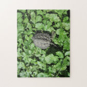 Baby Snapturle puzzel (Verticaal)