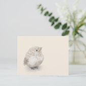 Baby Sparrow Digital-Waterverf Briefkaart (Staand voorkant)