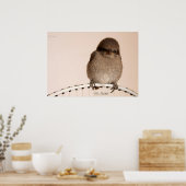 Baby Sparrow Poster (Keuken)