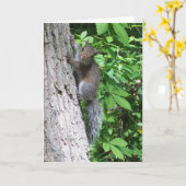"Baby Squirrel" Kaart (Gele Bloem)