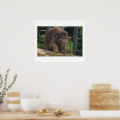 Baby Stappen Poster (Keuken)