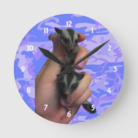 Baby Sugar Gliders Clock Ronde Klok (Voorkant)