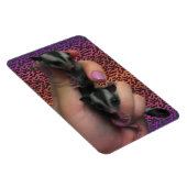 Baby Sugar Gliders Photo Magnet Magneet (Rechterzijde)
