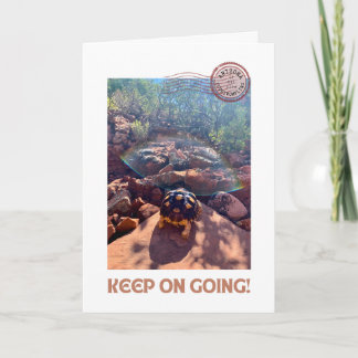 Baby sulcata schildpad blijft inspireren kaart
