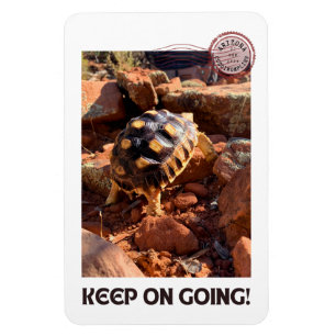 Baby Sulcata wandelen in Sedona Red Rocks Arizona Magneet