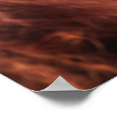 Baby Sumatran Orangutan Poster (Hoek)