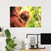 Baby Sumatran Orangutan Poster (Thuiskantoor)