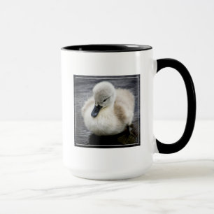 Baby Swan   Cygnet Mok