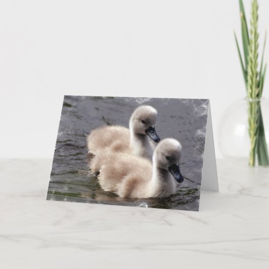 Baby Swans-Wenskaart Kaart (Voorkant)