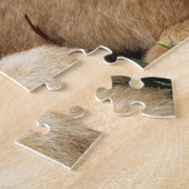 Baby Tiger custom monogram puzzle (Côté)
