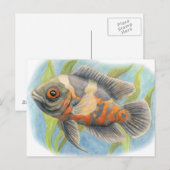 Baby Tiger Oscar Briefkaart (Voorkant / Achterkant)