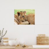 Baby Tiger poster (Keuken)