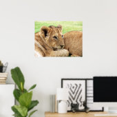 Baby Tiger poster (Thuiskantoor)