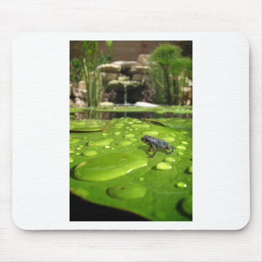 Baby Toad in Pond Muismat (Voorkant)