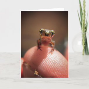 Baby Toad / Tadpole Kaart