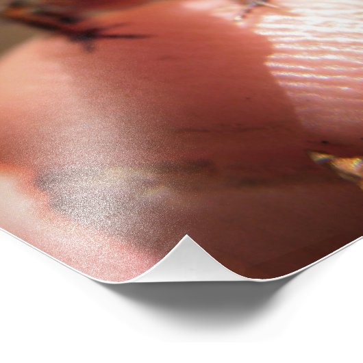 Baby Toad/Tadpool Foto Afdruk (Hoek)