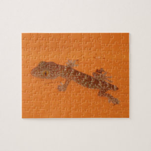 Baby Tokay Gecko Legpuzzel