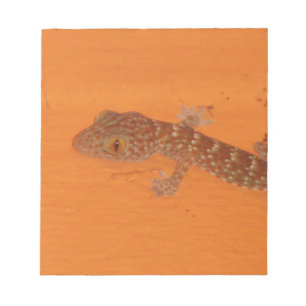 Baby Tokay Gecko Notitieblok