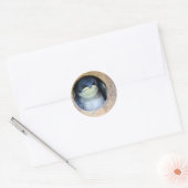 Baby Tree Swallow Ronde Sticker (Envelop)