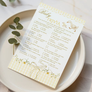 Baby Trivia Dwaas Gingham Baby shower spel