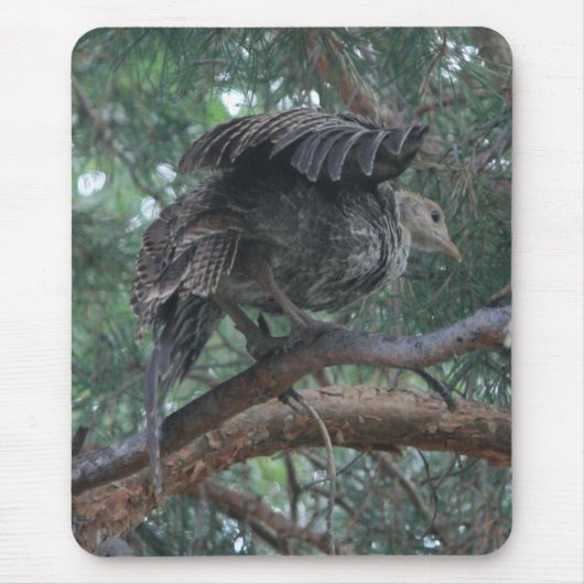Baby Turkey Mousepad Muismat (Voorkant)