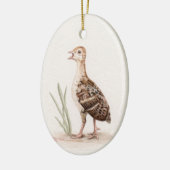 Baby Turkey Ornament (Links)