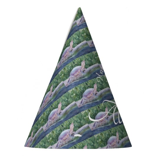 Baby Turtle Happy Birthday Feesthoedjes (Links)