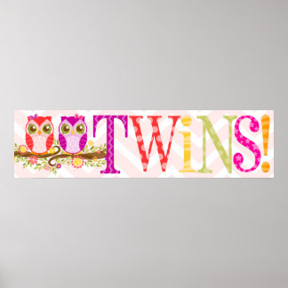 Baby - Twin Girls Pink & Paarse Shower Banner Poster