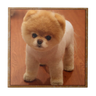 Baby van het Puppy van het Huisdier van de Hond Tegeltje