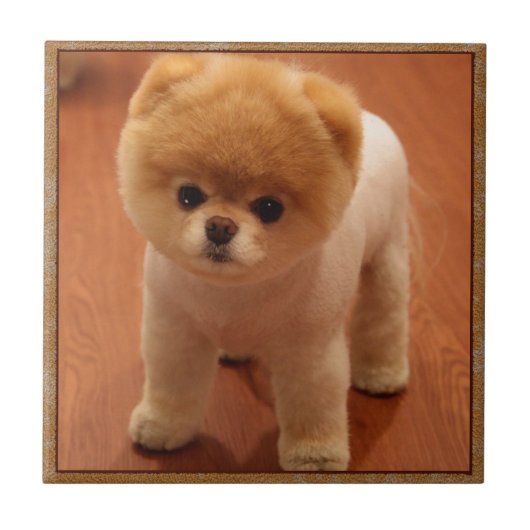 Baby van het Puppy van het Huisdier van de Hond Tegeltje (Voorkant)