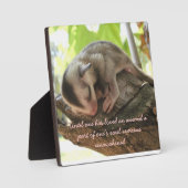 baby van suikerzweefster fotoplaat (Voorkant)