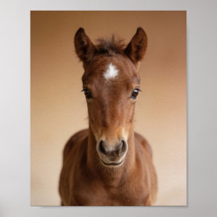 Baby Veulensportret – Mooie Dieren Muur Kunst voor Poster