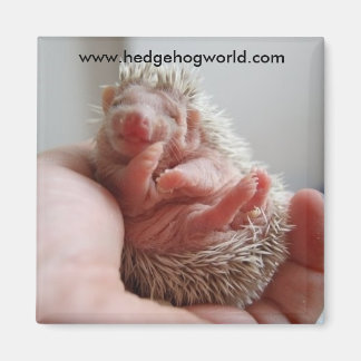 Baby voetmagneet magneet