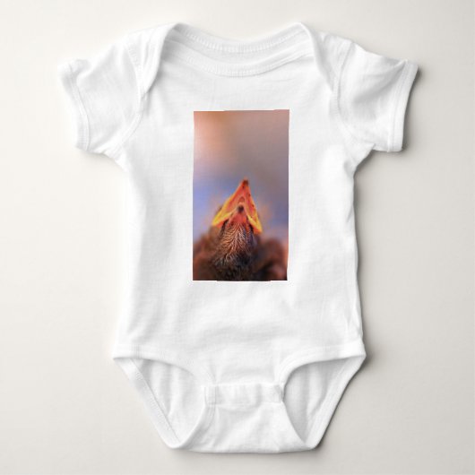 Baby Vogel 2 Romper (Voorkant)