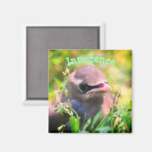 Baby-vogelbesmettingshaard Inspirerend Magneet (Voorkant / Achterkant)