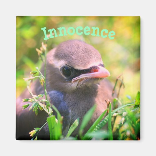 Baby-vogelbesmettingshaard Inspirerend Magneet (Voorkant)