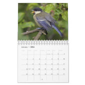 Baby Vogelkalender Kalender (Jan 2026)