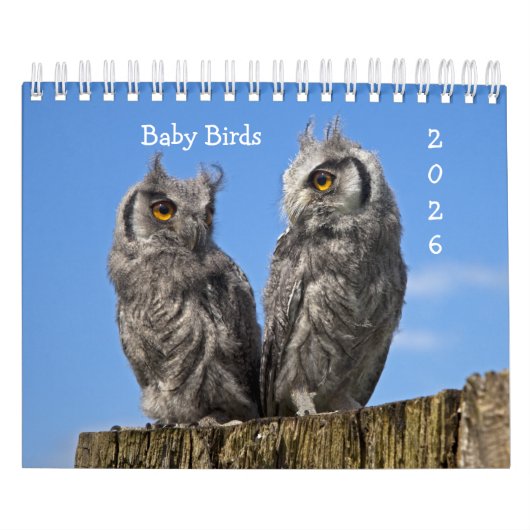Baby Vogelkalender Kalender (Hoes)