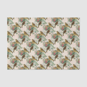  Baby Vogelnest Tissuepapier