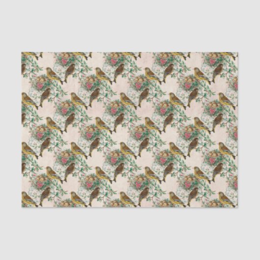  Baby Vogelnest Tissuepapier (Voorkant)