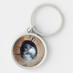 Baby vogels sleutelhanger