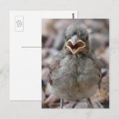 Baby-vogelstand-Briefkaart Briefkaart (Voorkant / Achterkant)