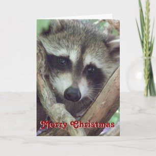 Baby Wasbeer Foto, Kerstkaart Feestdagen Kaart