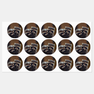Baby wasberen huddle in vallende sneeuw labels